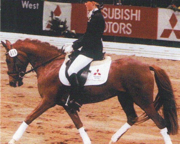 dressage horse Rivana 26 (German Riding Pony, 2000, from Voyage)