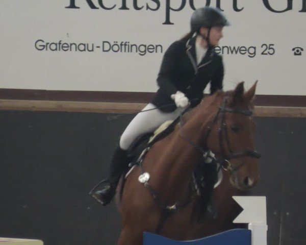 Reitturnier Weil der Stadt 2025