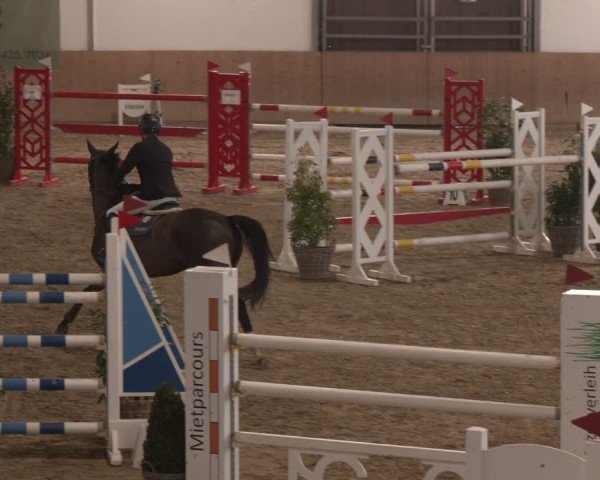Reitturnier Westbarthausen 2025