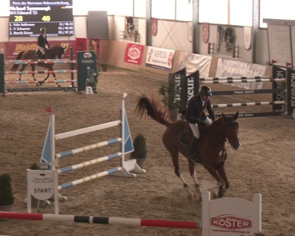Reitturnier Westbarthausen 2025