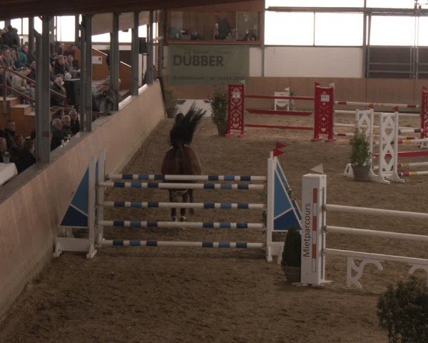 Reitturnier Westbarthausen 2025