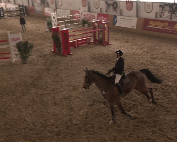 Reitturnier Westbarthausen 2025