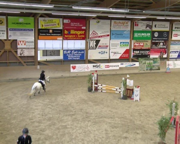Reitturnier Schaffhausen 2025