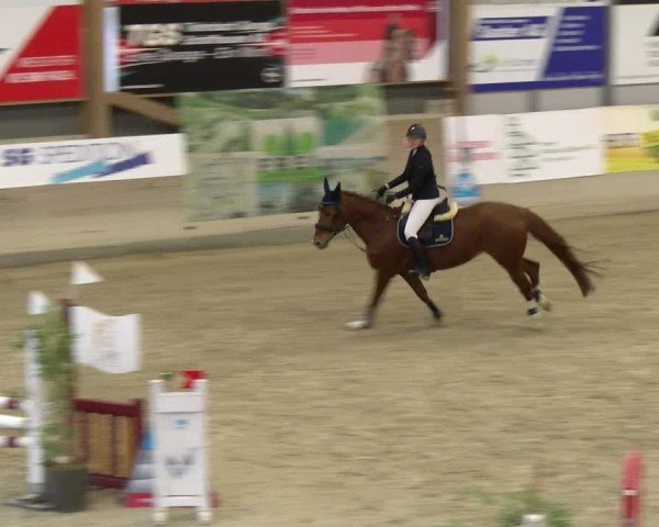 Reitturnier Schaffhausen 2025
