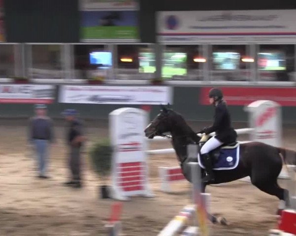 Reitturnier Salzkotten 2013