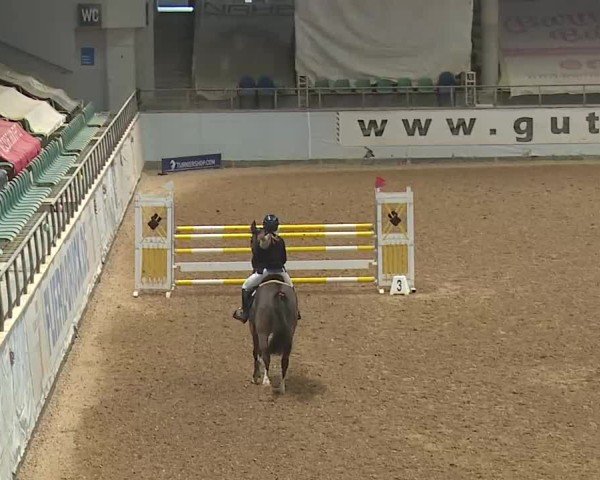 Reitturnier Kreuth 2025