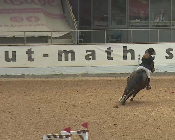 Reitturnier Kreuth 2025