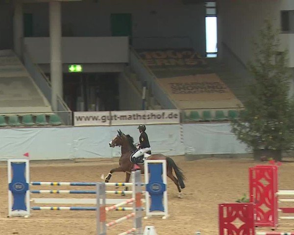 Reitturnier Kreuth 2025
