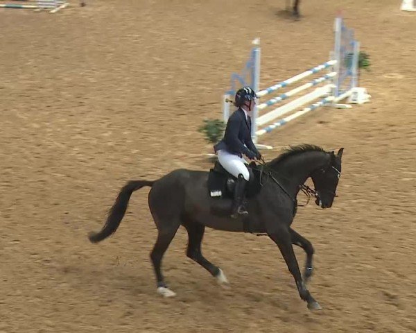 Reitturnier Kreuth 2025
