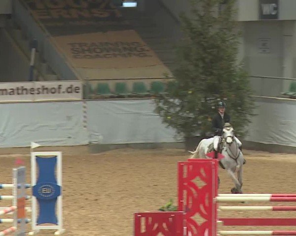 Reitturnier Kreuth 2025