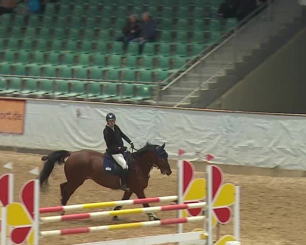 Reitturnier Kreuth 2025