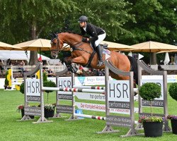 jumper Call me Cash (Oldenburg show jumper, 2016, from Casallco)