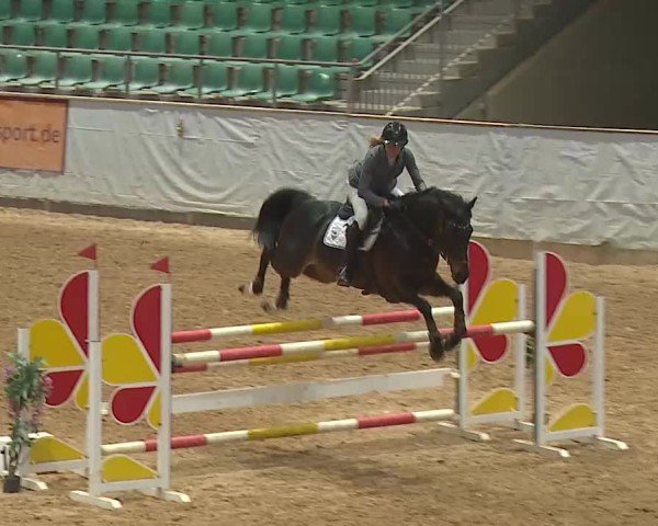 Reitturnier Kreuth 2025