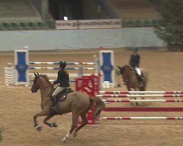 Reitturnier Kreuth 2025