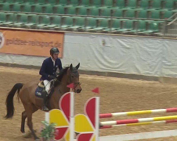 Reitturnier Kreuth 2025