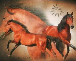 dressage horse Aragon De La Luz (Pura Raza Espanola (PRE), 2005, from Milenio V)
