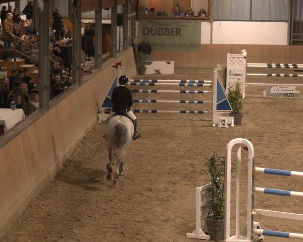 Reitturnier Westbarthausen 2025