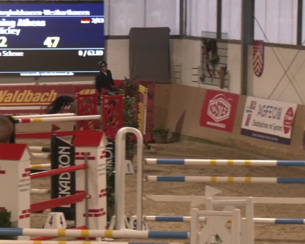 Reitturnier Westbarthausen 2025