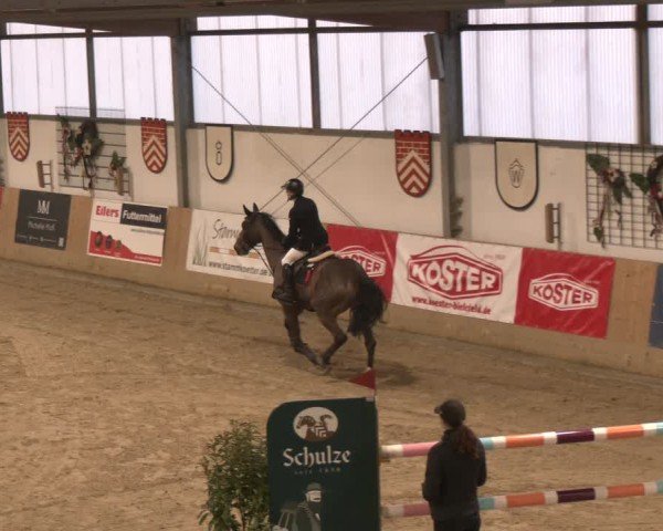 Reitturnier Westbarthausen 2025