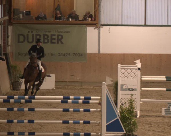 Reitturnier Westbarthausen 2025