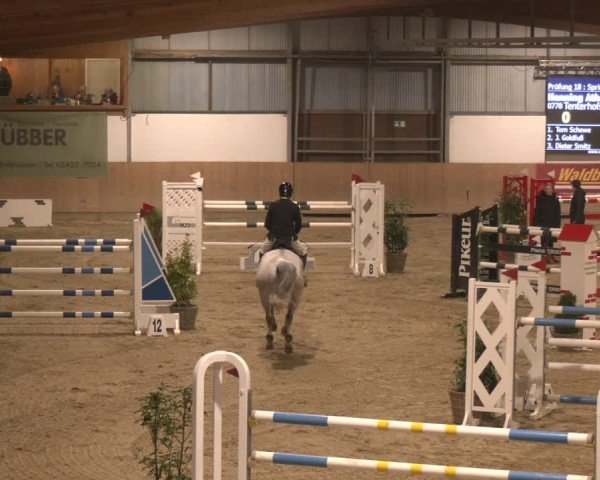 Reitturnier Westbarthausen 2025