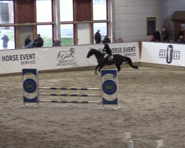 Reitturnier Prussendorf 2025
