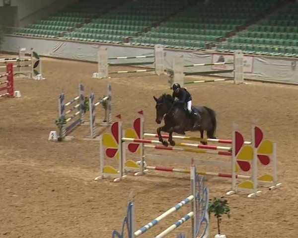 Reitturnier Kreuth 2025