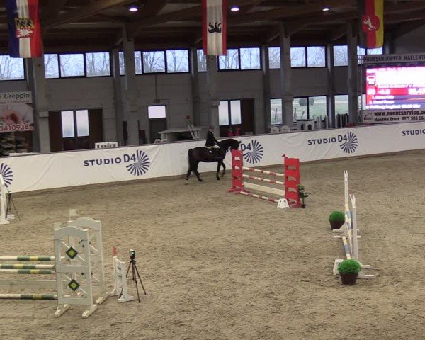 Reitturnier Prussendorf 2025