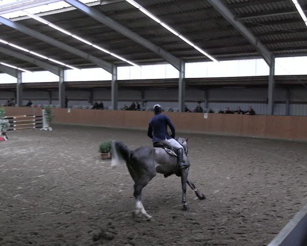 Reitturnier Schlieckau 2025