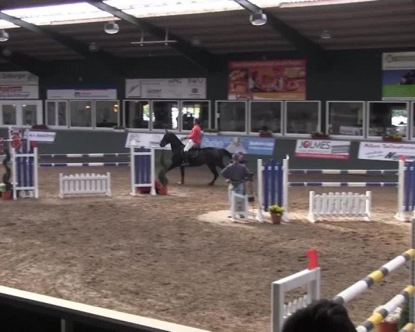 Reitturnier Salzkotten 2013