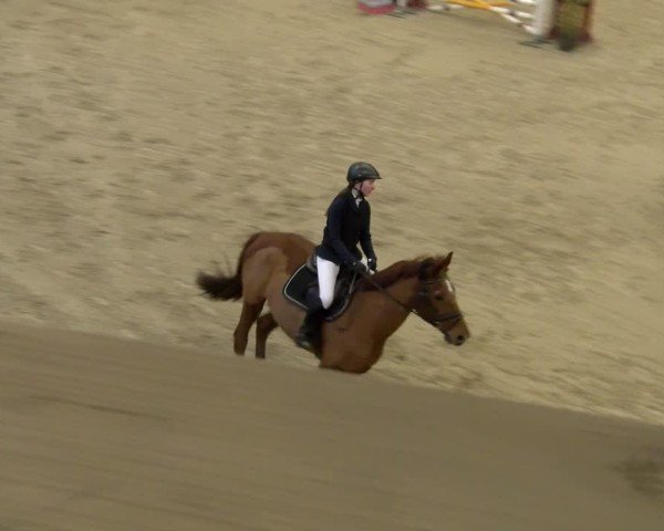 Reitturnier Schaffhausen 2025