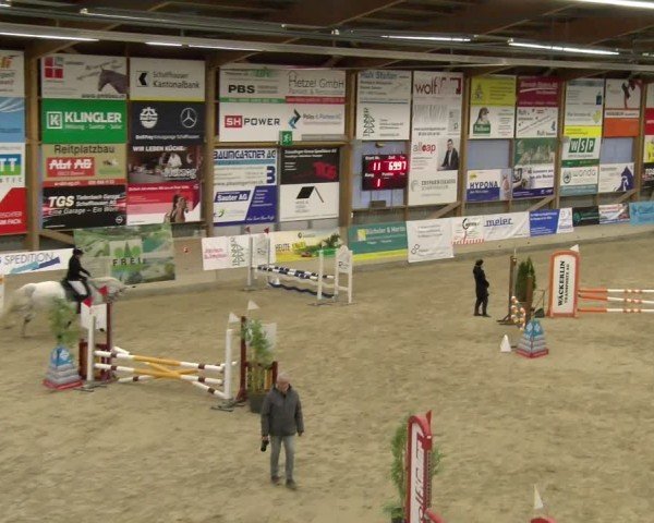 Reitturnier Schaffhausen 2025