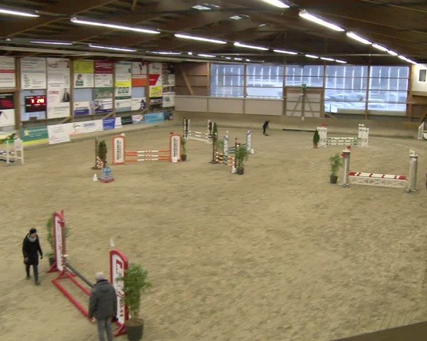 Reitturnier Schaffhausen 2025
