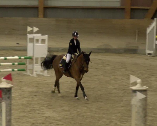 Reitturnier Schaffhausen 2025