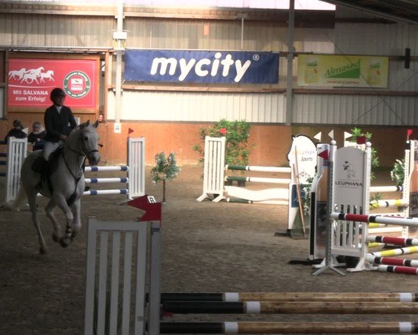 Reitturnier Schlieckau 2025