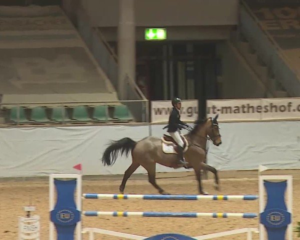 Reitturnier Kreuth 2025