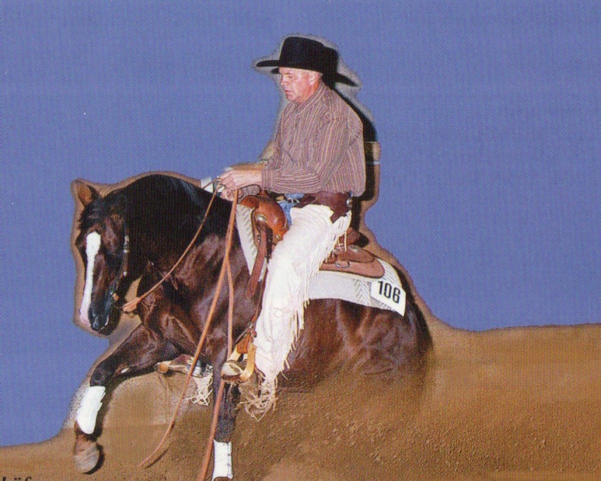 stallion Sunny Little Lena (Quarter Horse, 1996, from Smart Little Lena)