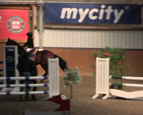 Reitturnier Schlieckau 2025