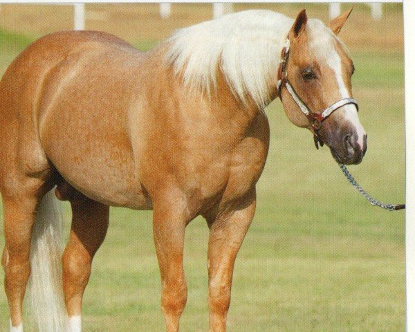 stallion Yellow Roan Of Texas (Quarter Horse, 1997, from Peptoboonsmal) stallion Yellow Roan Of Texas (Quarter Horse, 1997, from Peptoboonsmal)
