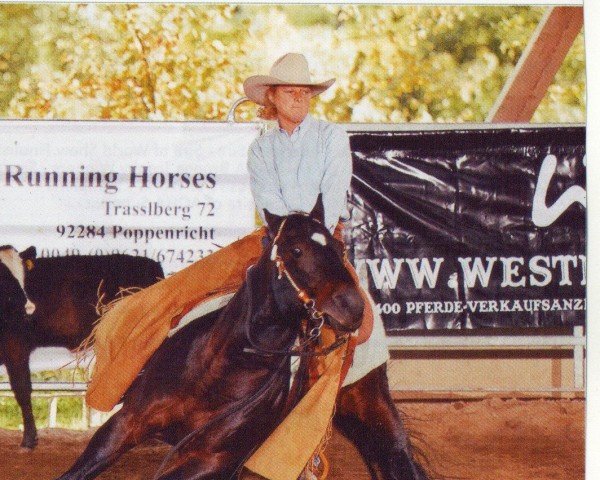 stallion The Sharp Shooter (Quarter Horse, 1997, from Playgun) stallion The Sharp Shooter (Quarter Horse, 1997, from Playgun)