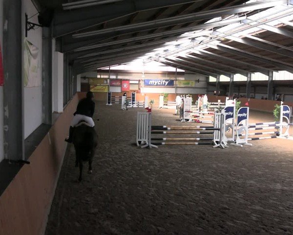 Reitturnier Schlieckau 2025