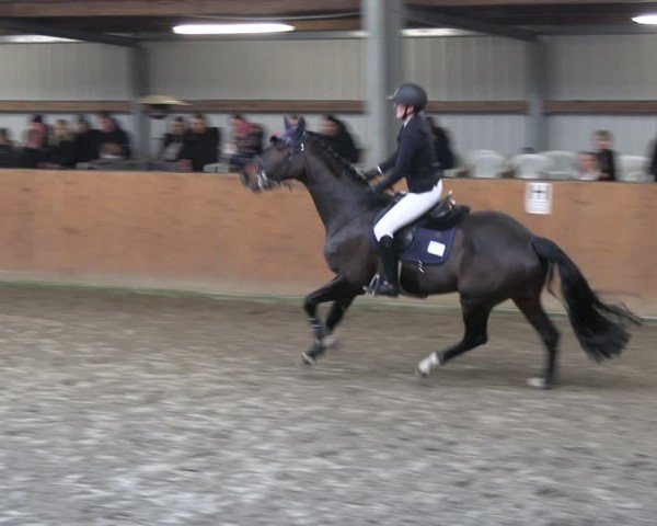 Reitturnier Schlieckau 2025