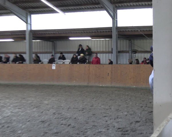 Reitturnier Schlieckau 2025