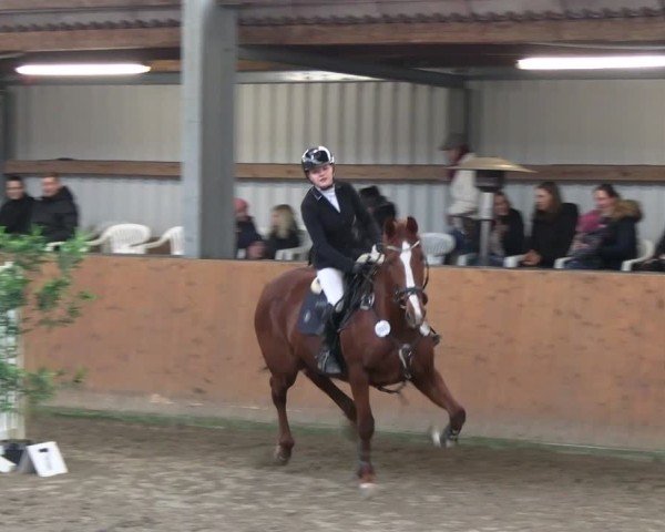 Reitturnier Schlieckau 2025