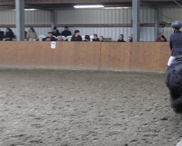 Reitturnier Schlieckau 2025