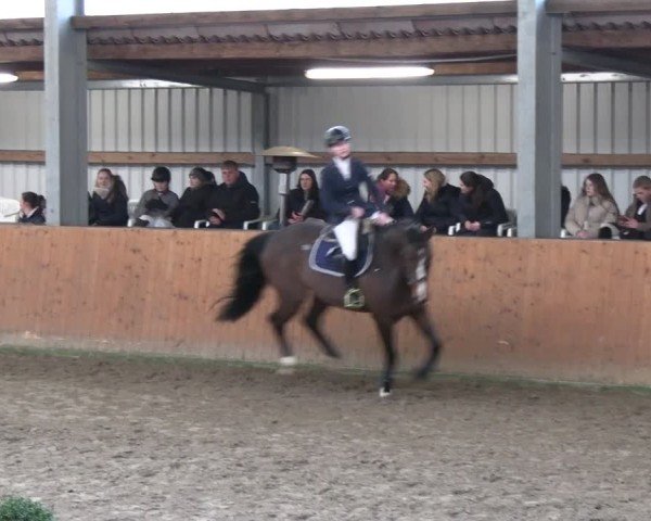 Reitturnier Schlieckau 2025