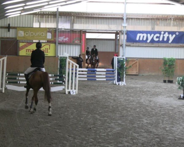 Reitturnier Schlieckau 2025