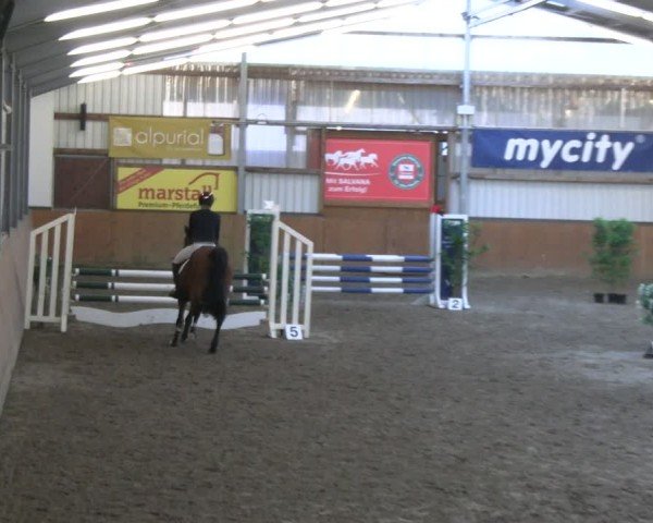 Reitturnier Schlieckau 2025