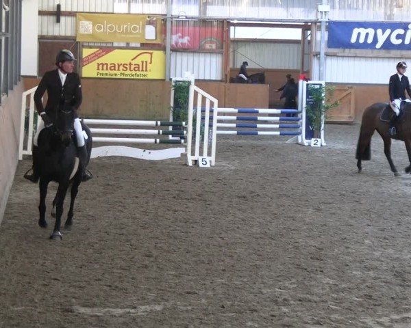 Reitturnier Schlieckau 2025