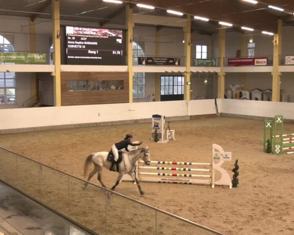 Reitturnier Stadl-Paura 2025